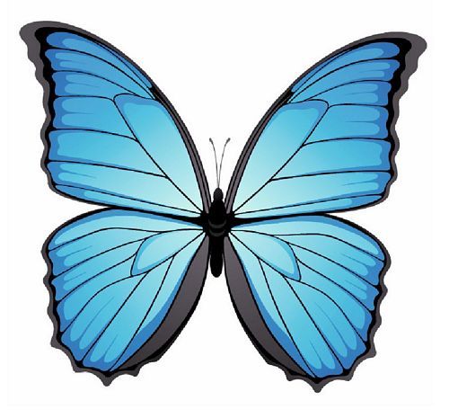 Autoaufkleber Sticker Schmetterling hellblau, Aufkleber Kontur, Diverses